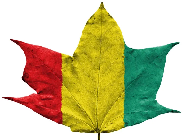 Drapeau Guinéen Peint Sur Des Feuilles Automne Séchées — Photo