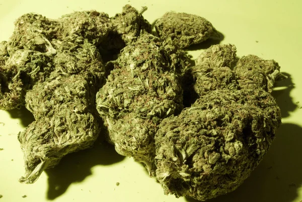 Ogräs Medicinsk Marijuana Grunge Detalj Och Bakgrund — Stockfoto