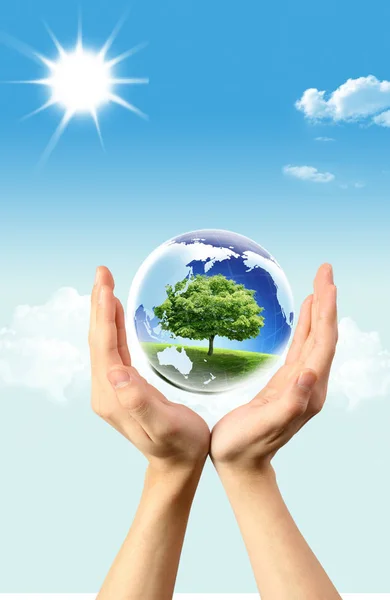Green Tree Globe Which Hands — Stock Photo, Image