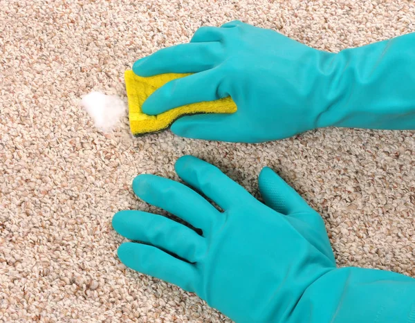 Cleaning Carpet Sponge Gloves — Stock Photo, Image
