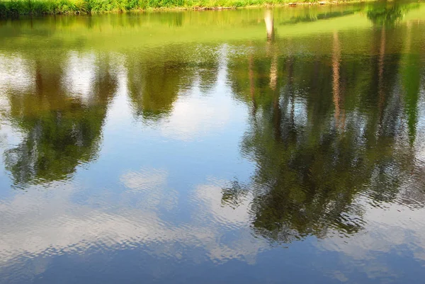 Reflejo Agua Del Paisaje Con Palmeras Verdes Hierba — Foto de Stock