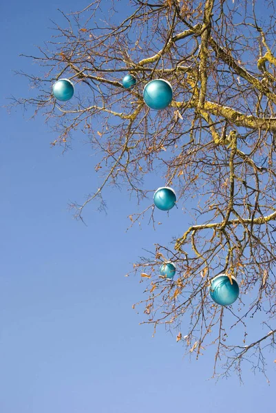 Niebieskie Lampy Drzewie Zimowym Tle Nieba — Zdjęcie stockowe