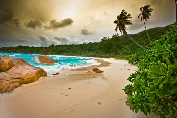 Playa Con Arena Blanca Seychelles — Foto de Stock