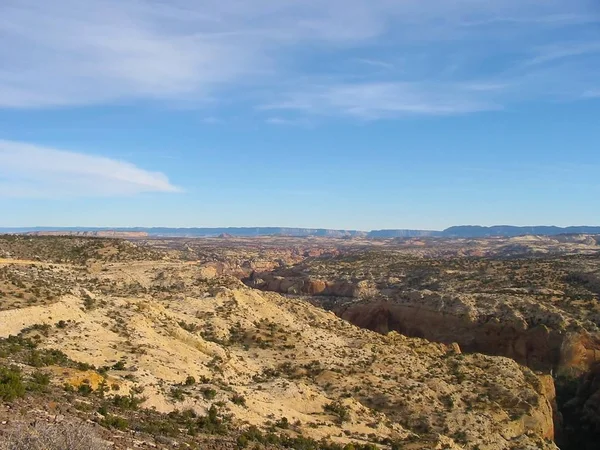 Cañón Rojo Cerca Zion Utah — Foto de Stock