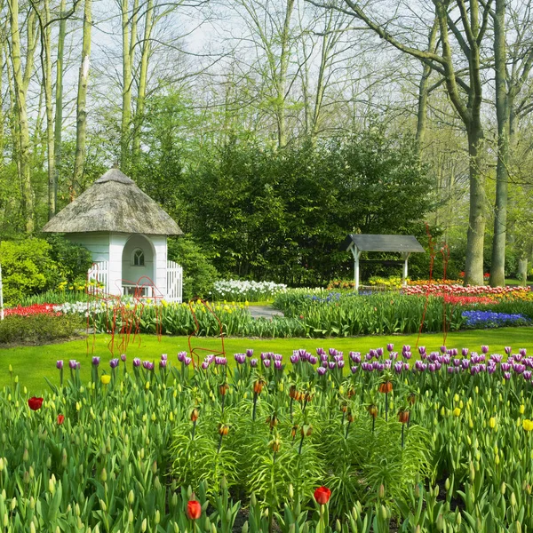 Keukenhof Gardens Lisse Netherlands — Stock Photo, Image