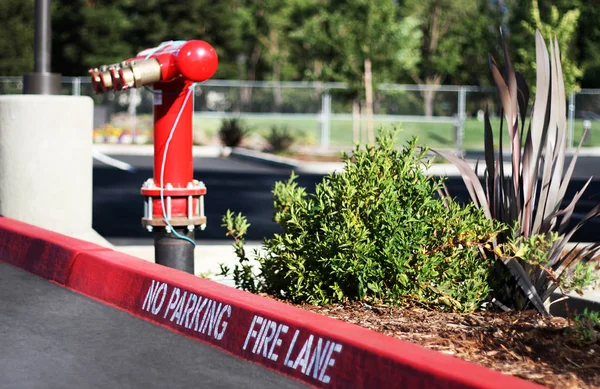 駐車場の 駐車消火レーンなし の看板 背景に消火栓付き — ストック写真