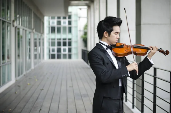 Thaïlande Asiatique Homme Avec Son Violon Est Soliste — Photo