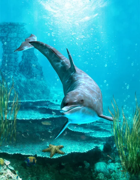 Proud Dolphin Swims Ocean — Stock Photo, Image
