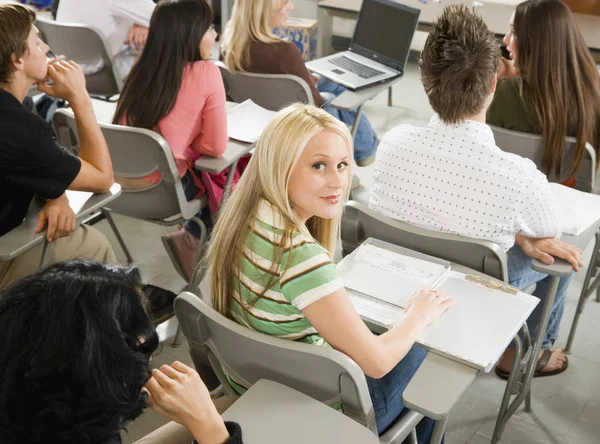 Studenten Sitter Vid Skrivbordet Lektionen Porträtt — Stockfoto