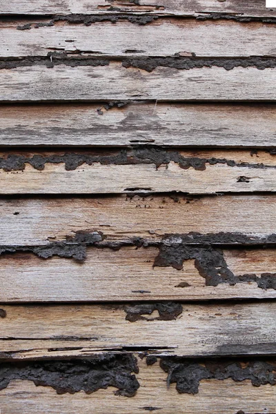 Houten Planken Met Termieten — Stockfoto