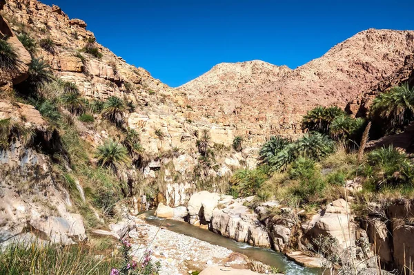 Paesaggio Acqua Che Scorre Torrente Wadi Hasa Giordania — Foto Stock