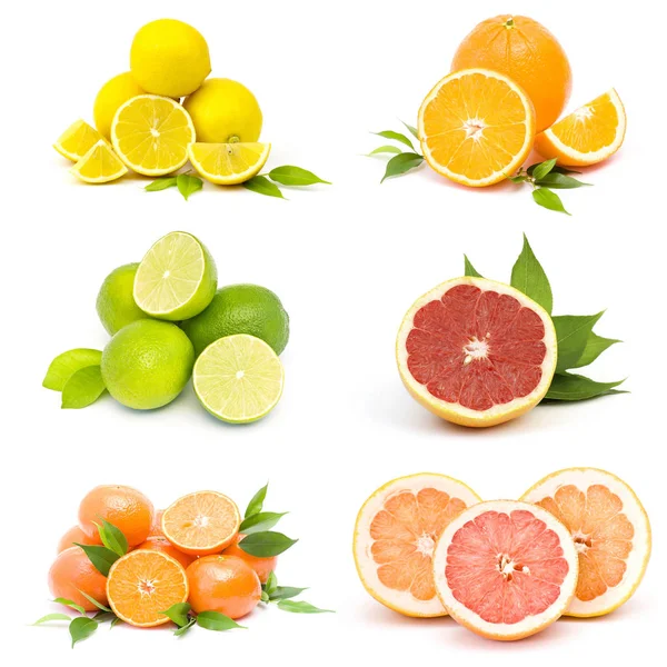 Insamling Färska Citrusfrukter — Stockfoto