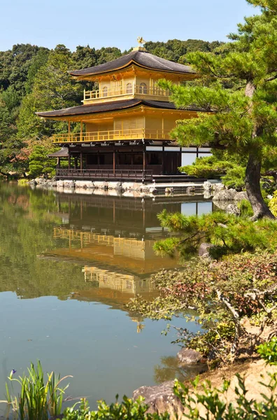 Japonská Zlatá Pagoda Reflexní Voda — Stock fotografie