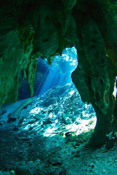 Entrance Gran Cenote Tulum Mexico — Stock Photo, Image