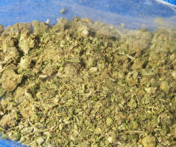 Ogräs Medicinsk Marijuana Grunge Detalj Och Bakgrund — Stockfoto