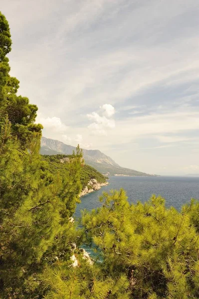 Splendid Litoral Croácia Makarska Riviera Brela — Fotografia de Stock