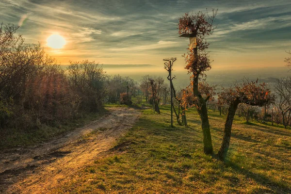 Hermosa Vista Atardecer Horizonte — Foto de Stock