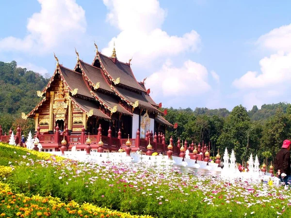 Flora Reale Expo Chiangmai Thailandia — Foto Stock