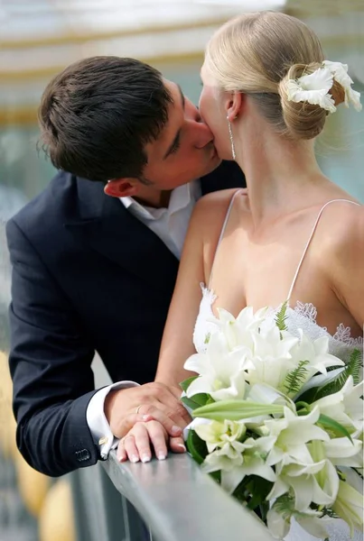 Retrato Meio Corpo Casal Recém Casado Atraente Beijando — Fotografia de Stock