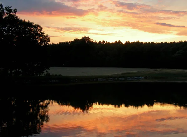 Sol Pone Detrás Del Bosque Refleja Lago —  Fotos de Stock