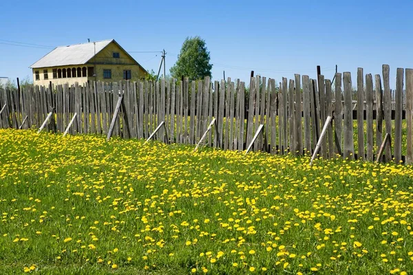 Bela Paisagem Rural Com Uma Pequena Casa Uma Árvore Uma — Fotografia de Stock