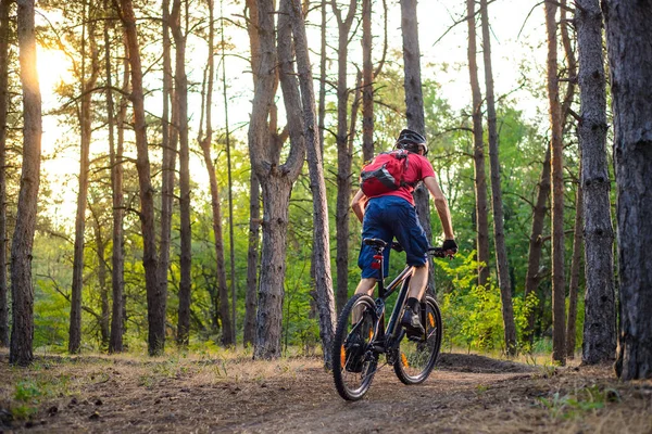 Kerékpáros Lovaglás Bike Trail Gyönyörű Fenyves Erdőben Kaland Utazási Koncepció — Stock Fotó