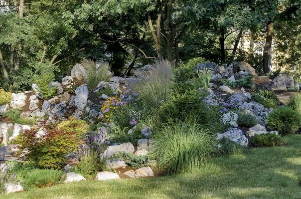 Jardín Rocas Con Flores Rocalla Primavera Sofía Bulgaria — Foto de Stock