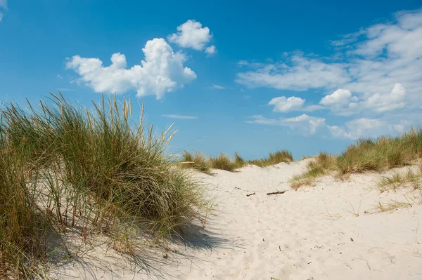 Plage Danemark Près Nymindegab — Photo