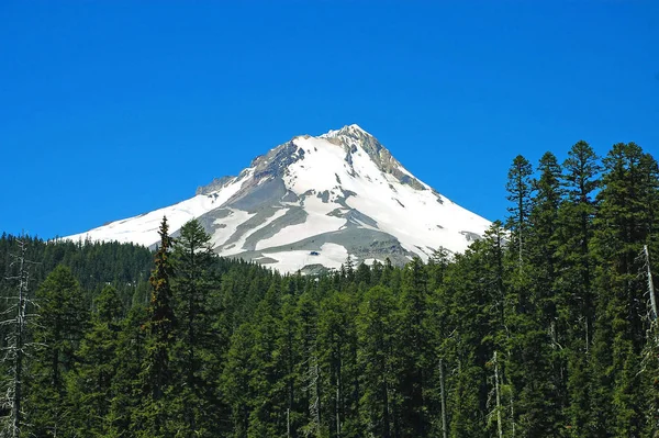 Mount Hood Oregon États Unis — Photo