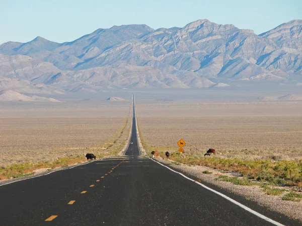 Uzun Otobanın Yalnızlığı Nevada — Stok fotoğraf