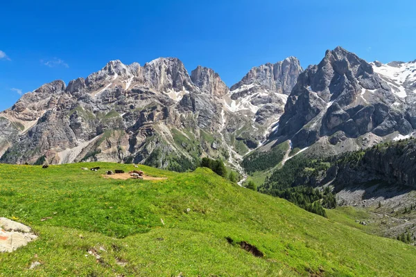 Vista Estiva Della Marmolada Del Vernel Dalla Valle Del Contrin — Foto Stock