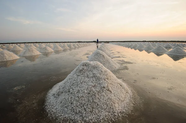 Salt Farm, salt pan in Thailand