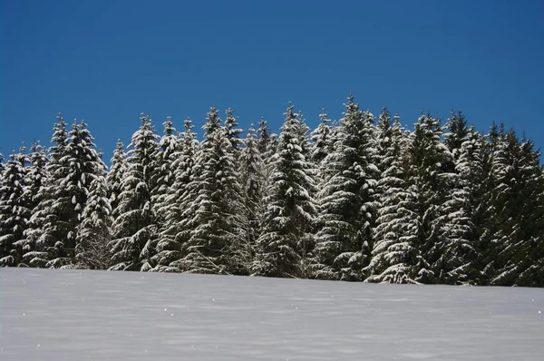 Hermoso Paisaje Invierno Nevado Época Navidad — Foto de Stock