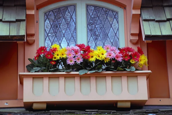 Vackra Blommor Italiensk Balkong Fönster — Stockfoto