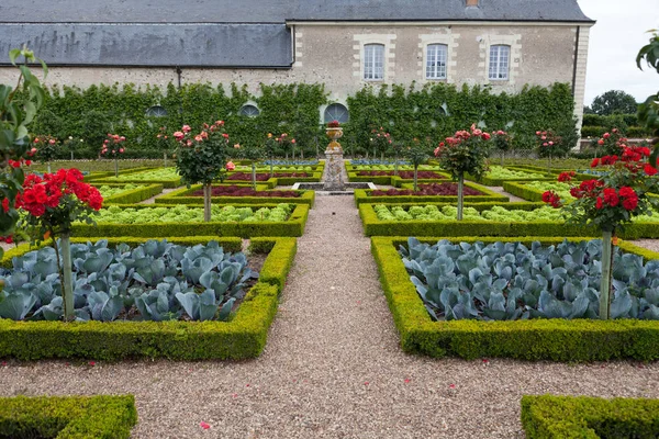 Konyha Kert Chateau Villandry Ban Loire Valley Franciaország — Stock Fotó