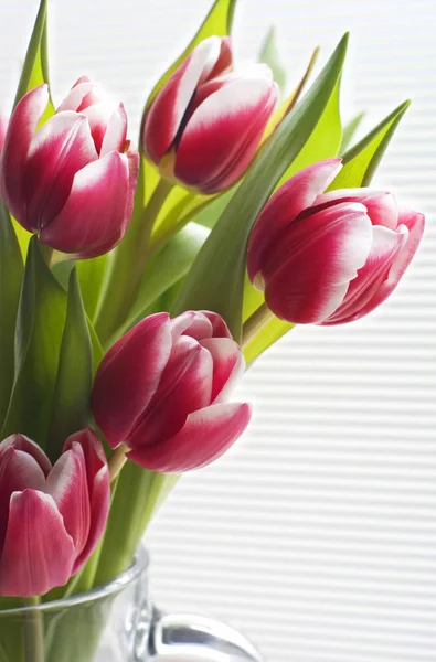 Частина Вази Квітучими Рожевими Тюльпанами Білому Смугастому Фоні — стокове фото