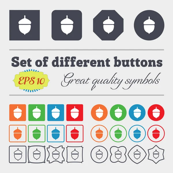 Acorn Icon Sign Big Set Colorful Diverse High Quality Buttons — Stock Photo, Image