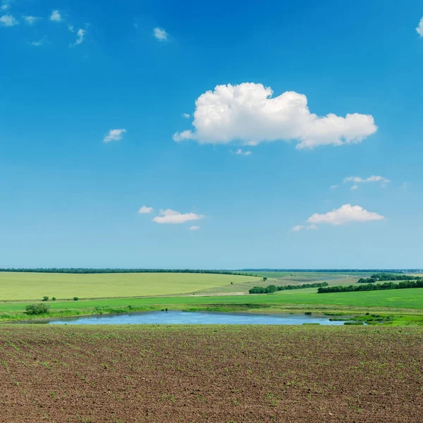 Våren Landskap Med Damm Blå Himmel — Stockfoto