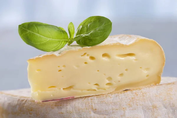 Vue Rapprochée Délicieux Fromage Français Reblochon — Photo