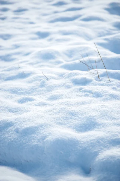 Kış Manzara Görüntüsünü — Stok fotoğraf