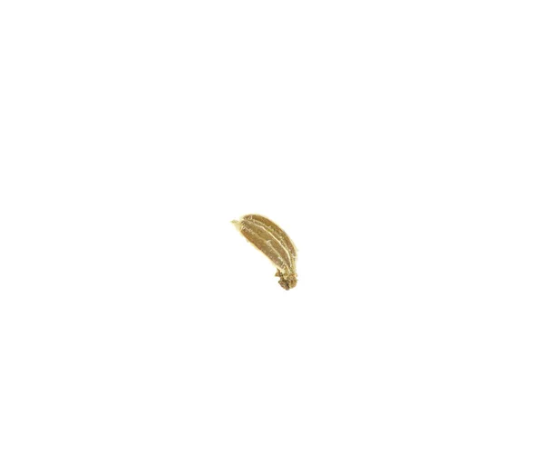 Beyaz Arka Planda Izole Edilmiş Bir Havuç Tohumu Makrosu — Stok fotoğraf