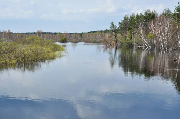 Manzara Olabilir Pra Nehri Ryazan Bölgesinde Meschera Milli Parkı Rusya — Stok fotoğraf