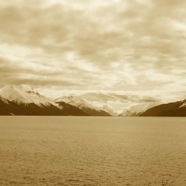 Sceniske Naturbilder Fra Alaska Villmarken – stockfoto