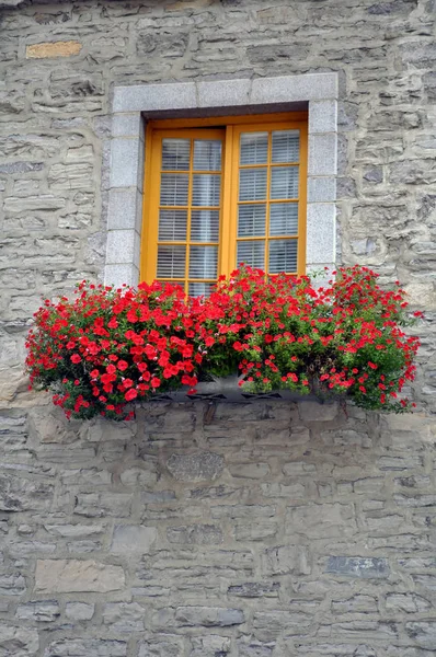 Altes Fenster Mit Bunten Blumen Quebec City Canada — Stockfoto