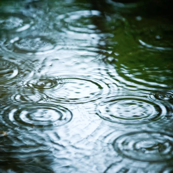 Raindrops on the water surface — Stock Photo © dutourdumonde #3131862