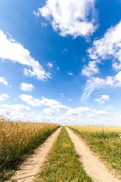 Estrada País Que Conduz Linha Horizonte Série Natureza — Fotografia de Stock