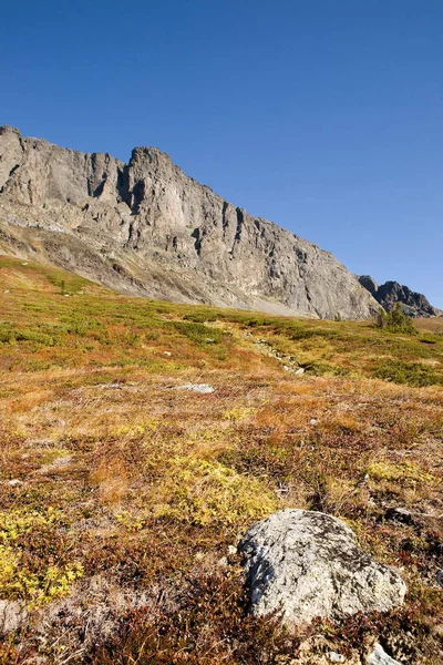 Μια Λεπτομέρεια Νορβηγική Βουνό Μια Πέτρα Πρώτο Πλάνο — Φωτογραφία Αρχείου