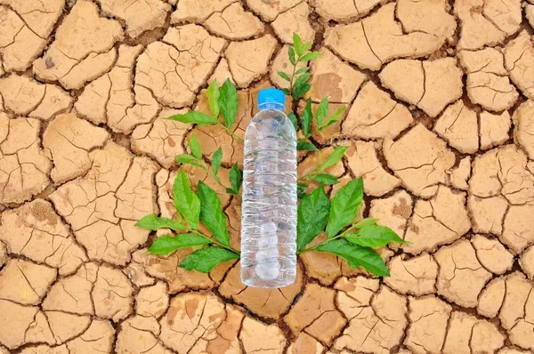 Water Bottle Dry Cracked Ground — Stock Photo, Image