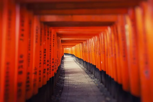 Santuário Fushimi Inari Taisha Kyoto Japão — Fotografia de Stock