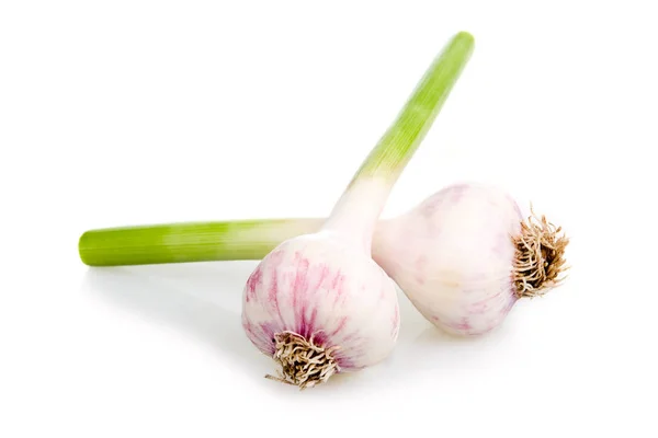 Knoflookgroente Geïsoleerd Witte Achtergrond — Stockfoto